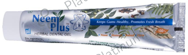 PIL Neem Plus Herbal Dental Gel - Neem Toothpaste With Clove, Meswak & Babool