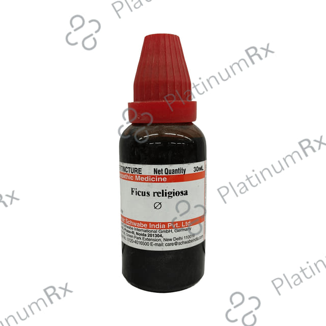 Dr Willmar Schwabe India Ficus Religiosa Mother Tincture Q