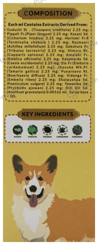 Fur Ball Story Pacho Pet Syrup