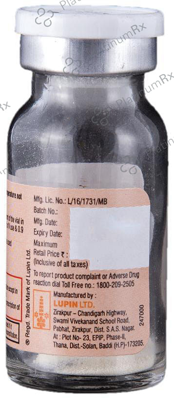 Cefaxone 0.25g Injection