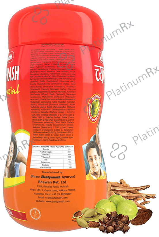Baidyanath Chyawanprash Special Immunity Booster Paste 250gm