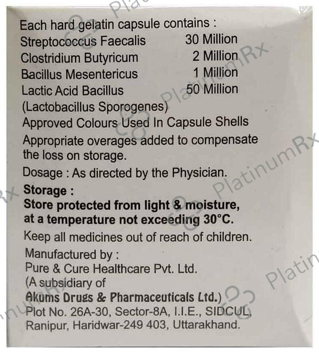 Stamic Capsule