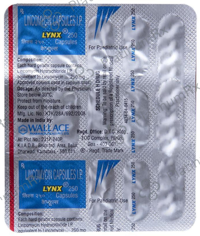 Lynx 250mg Capsule 15s