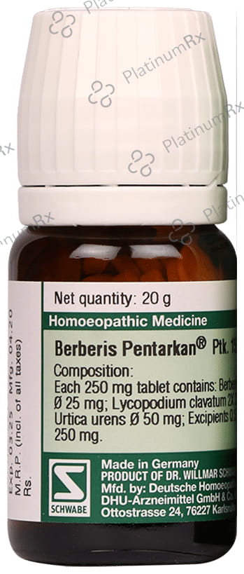 Dr Willmar Schwabe Germany Berberis Pentarkan Ptk. 15 Tablet