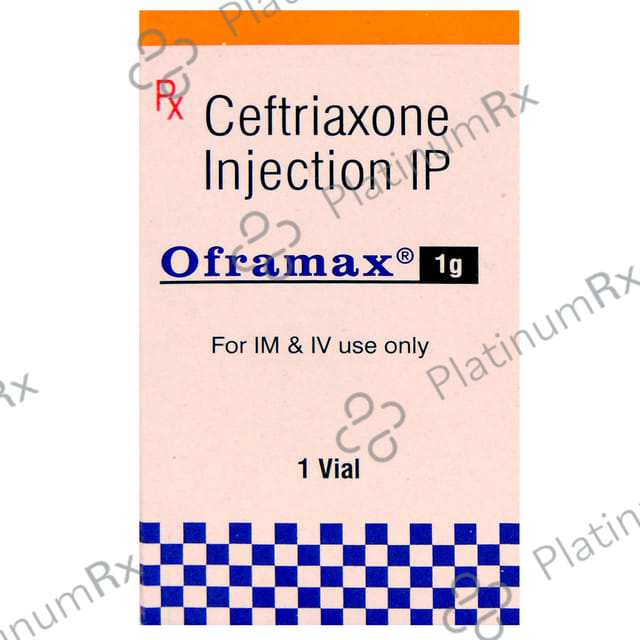 Oframax 1gm Injection