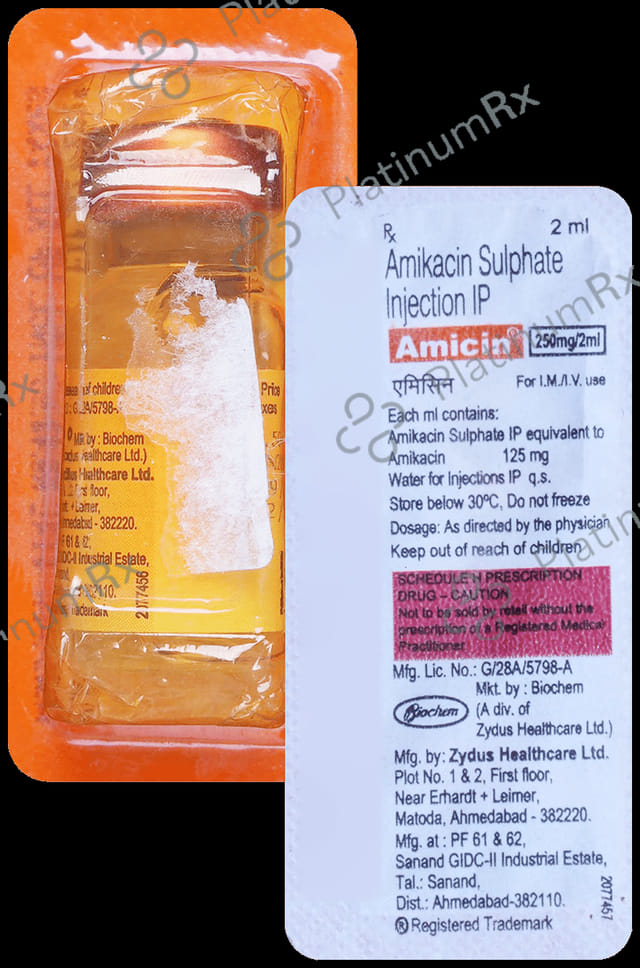 Amicin 250mg Injection 1s