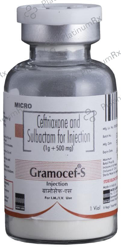 Gramocef S 1000/500mg Injection 1s