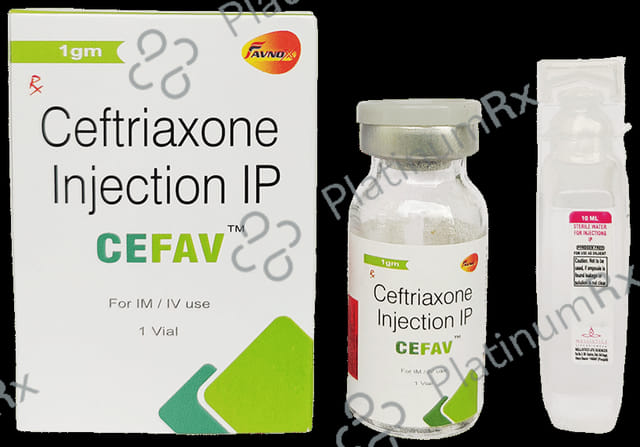 Cefav 1000mg Injection