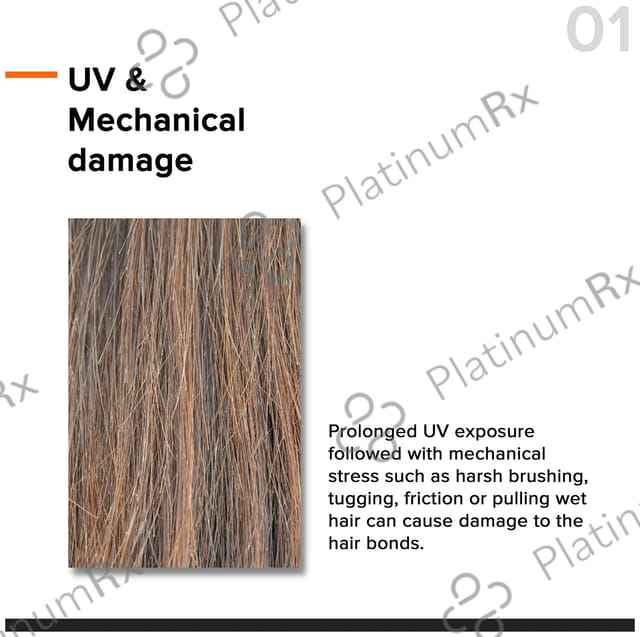 Minimalist 5% Hair Serum 50ml