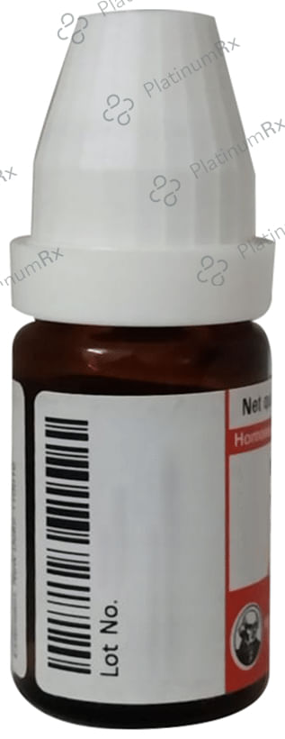 Dr Willmar Schwabe Germany Naphthalinum Dilution 200