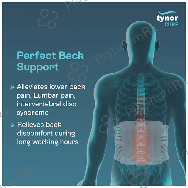 Tynor A 07 Contoured L.S. Support Large 1s
