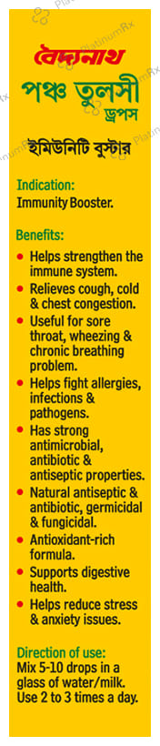 Baidyanath (Noida) Panch Tulsi (Amrit Tulsi) Drop Immunity Booster