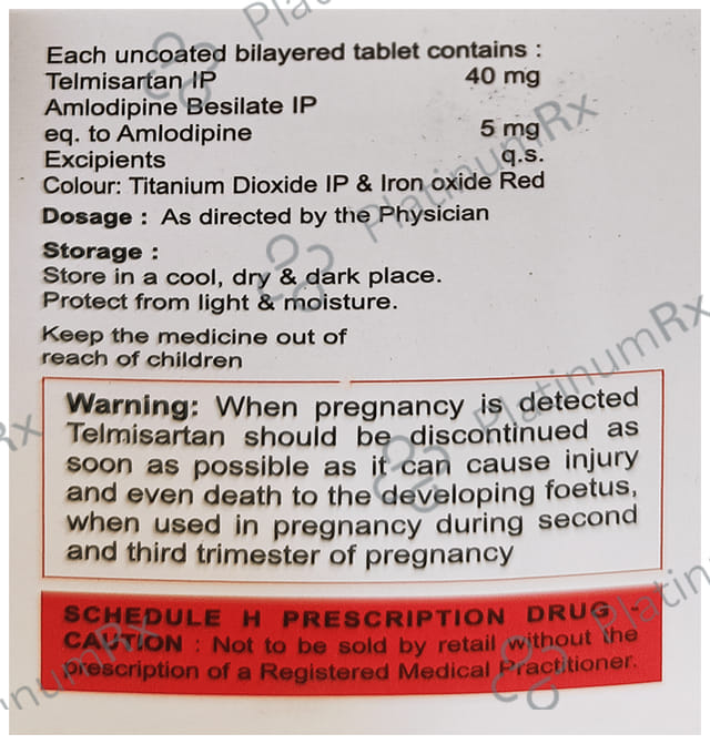 Acmetel AM 5/40mg Tablet 10s