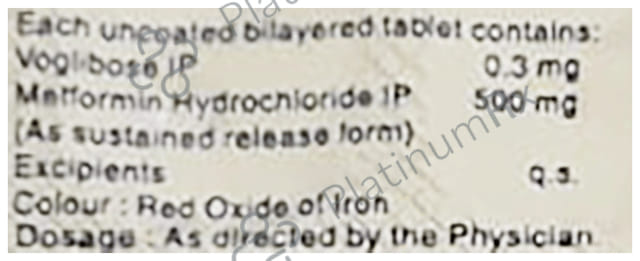 Vogs M 0.3/500mg Tablet SR 15s