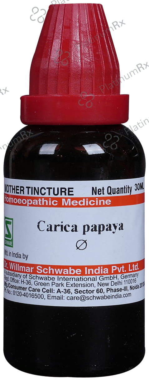 Dr Willmar Schwabe India Carica Papaya Mother Tincture Q