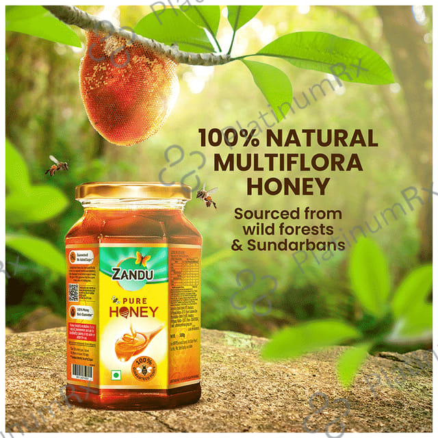 Zandu Pure Honey for Energy & Weight Management No Sugar Adulteration 500gm