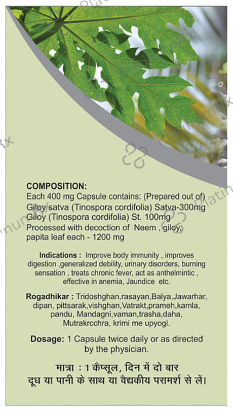 Basic Ayurveda Giloy Power Capsule