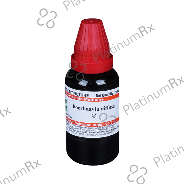 Dr Willmar Schwabe India Boerhaavia Diffusa Mother Tincture Q