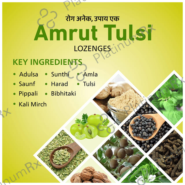 Amrut Tulsi Lozenges (6 Each) Ginger Mint 10 strips