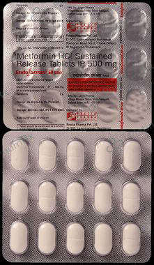 Endoformin SR 500mg Tablet 15s