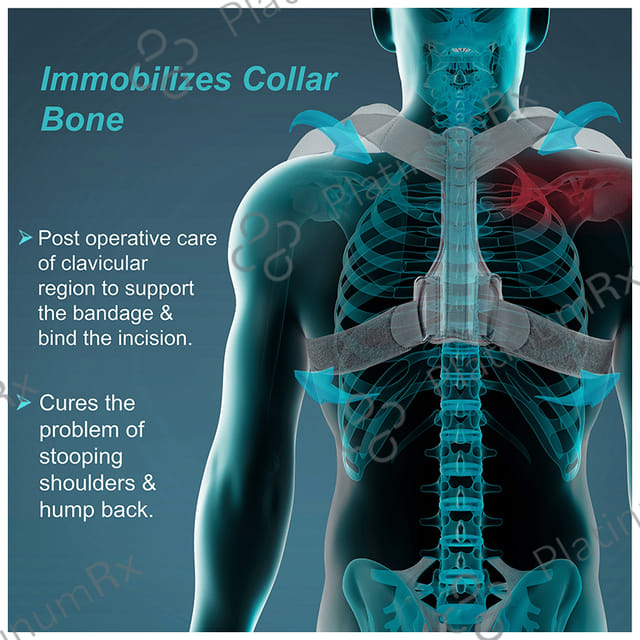 Tynor C 05 Clavicle Brace with Velcro Large Grey