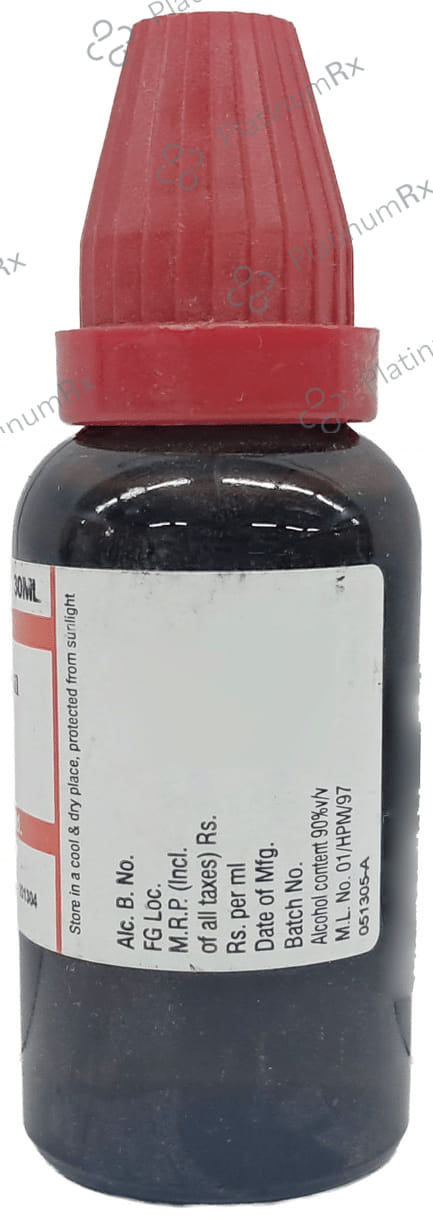 Dr Willmar Schwabe India Conium Maculatum Dilution 200 CH