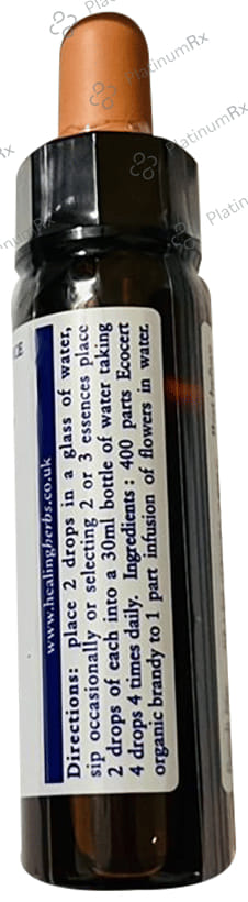 Healing Herbs Bach Flower Chestnut Bud 10 ml