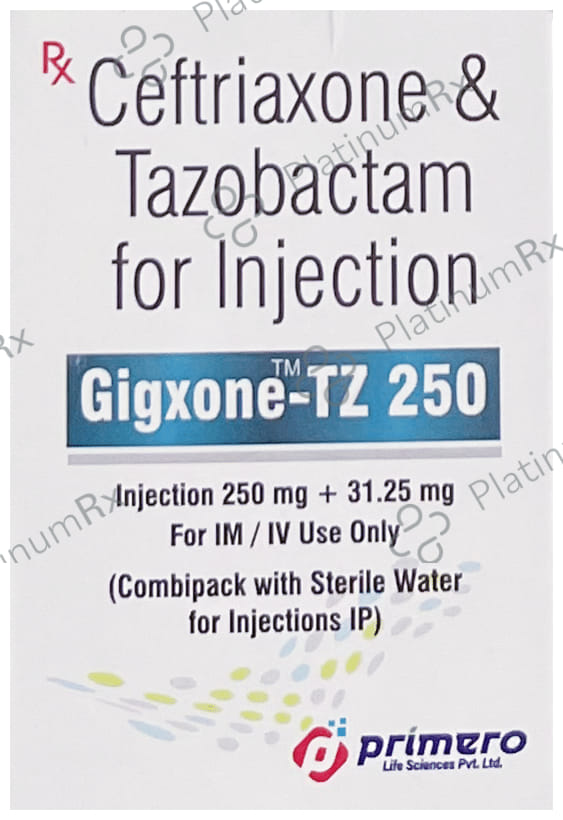 Gigxone TZ 250/31.25mg Injection 1s