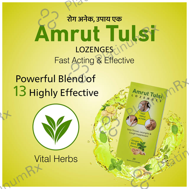Amrut Tulsi Lozenges (6 Each) Ginger Mint 20 strips