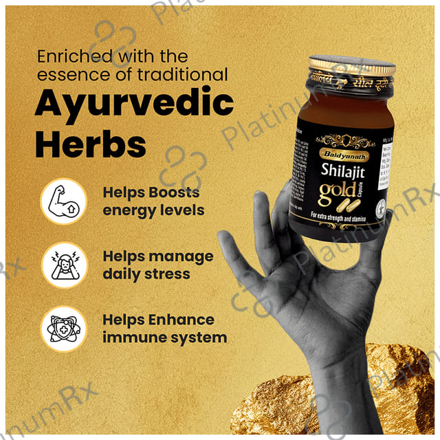 Baidyanath (Noida) Shilajit Gold Capsule