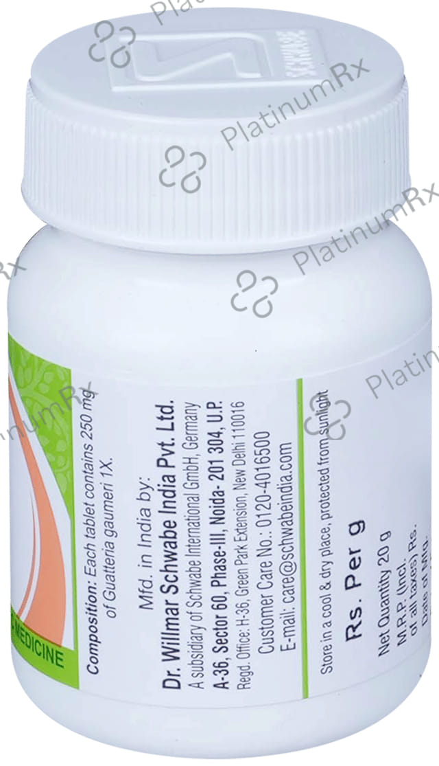 Dr Willmar Schwabe India Guatteria Gaumeri MT Tablet 1X