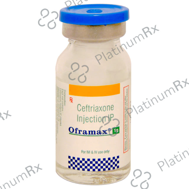 Oframax 1gm Injection
