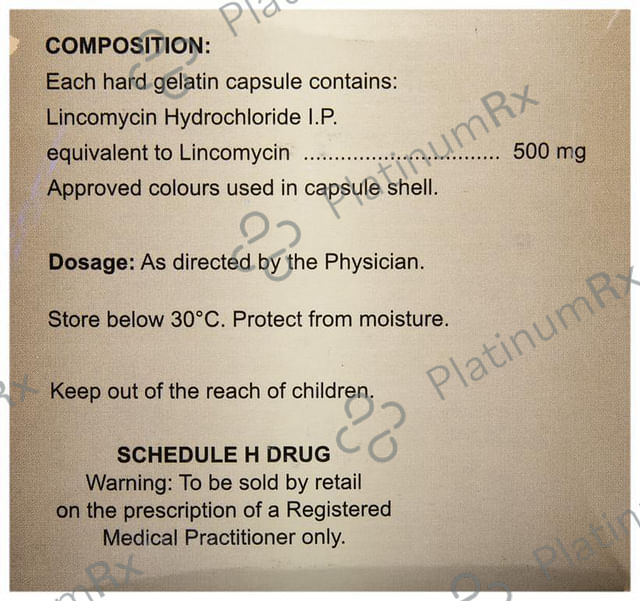 Lynx 500mg Capsule 15s