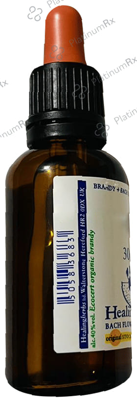 Healing Herbs Bach Flower White Chestnut 30 ml