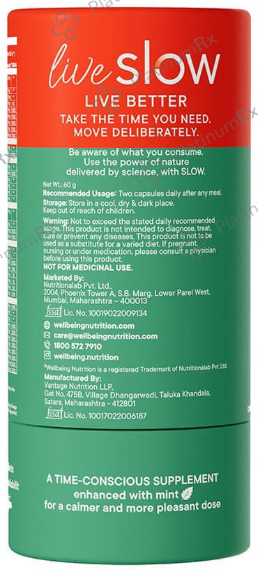 Wellbeing Nutrition Slow Multi for Him 50+ - With Ginkgo Biloba & Lutein for Energy & Performance - Capsule