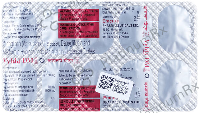 Vylda DM 100/10/1000mg Tablet SR 10s