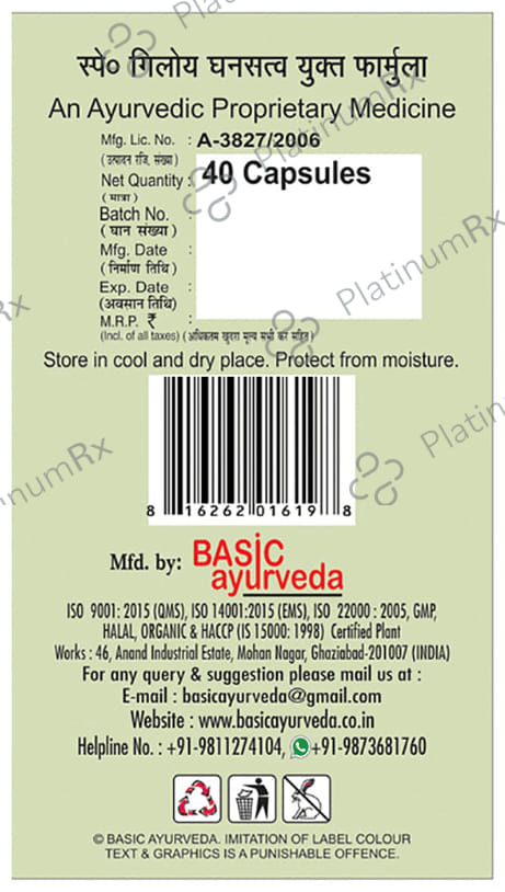Basic Ayurveda Giloy Power Capsule