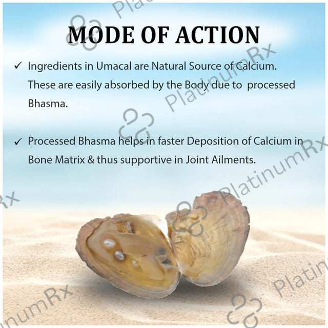 Uma Ayurveda Umacal Natural Calcium Supplement Tablet 60 tablets