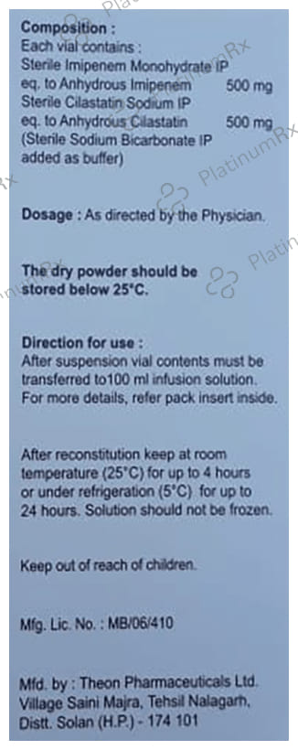 Brodnem IC 500/500mg Injection 1s