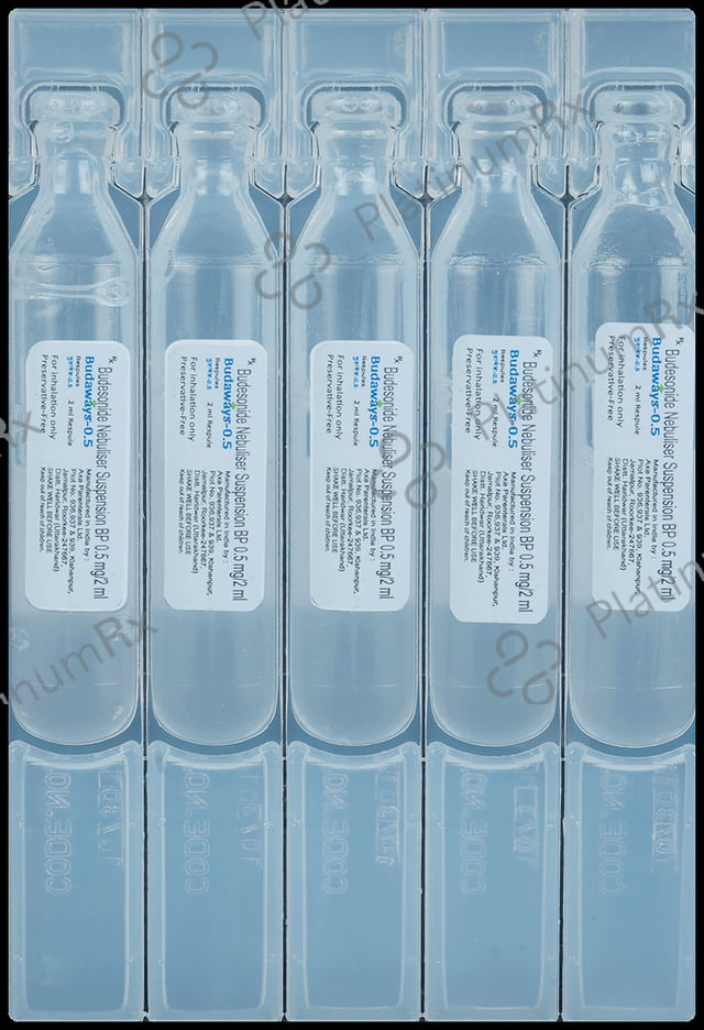Budaways 0.5mg 2ml Respule 5s
