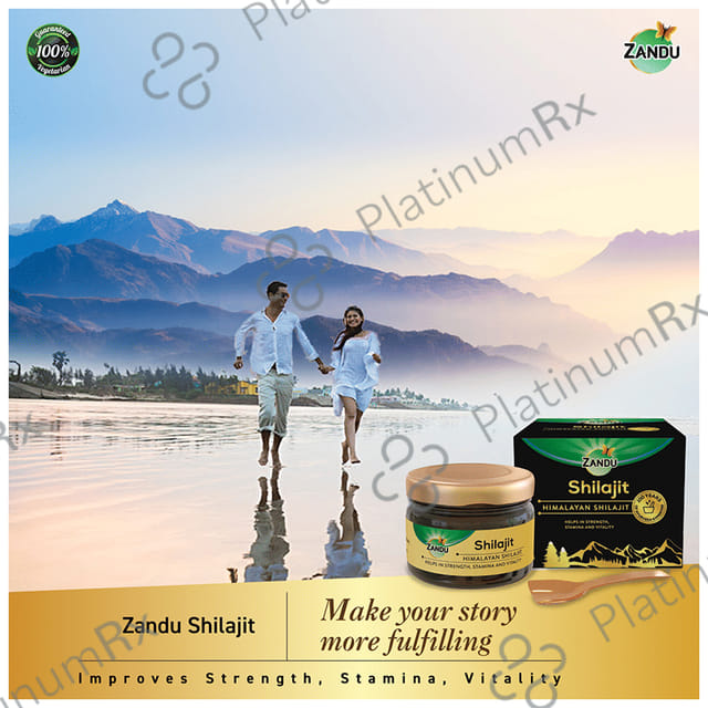 Zandu Himalayan Shilajit