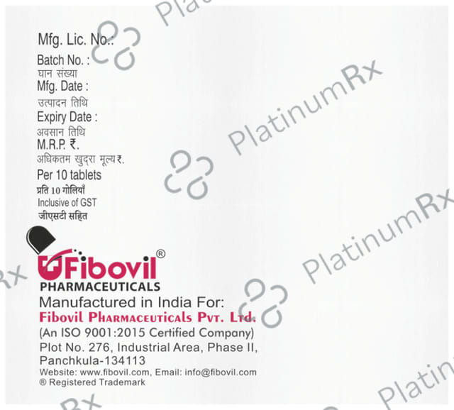 Viloflox OZ 200/500mg Tablet 10s