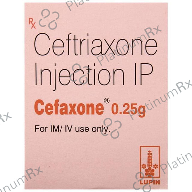 Cefaxone 0.25g Injection
