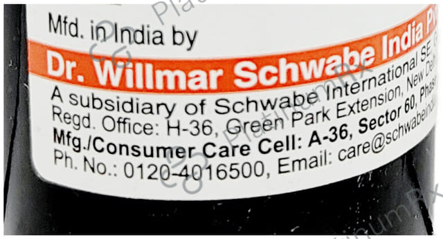 Dr Willmar Schwabe India Ginseng Mother Tincture Q