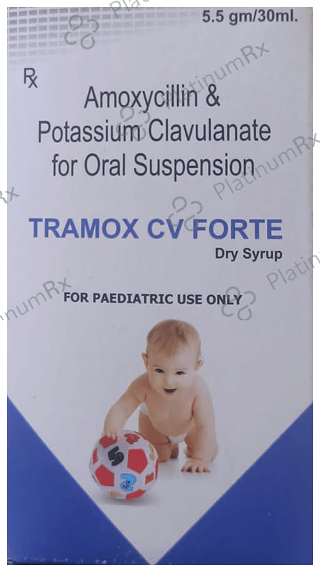 Tramox CV Forte Dry Syrup