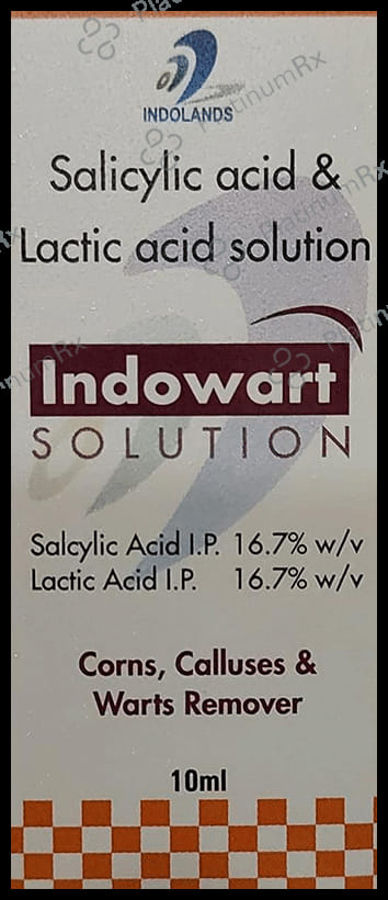 Indowart Solution
