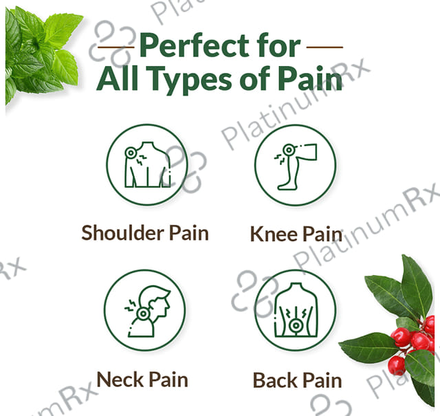 MY Dr Pain Relief Oil (125ml Each) 1 Bottle
