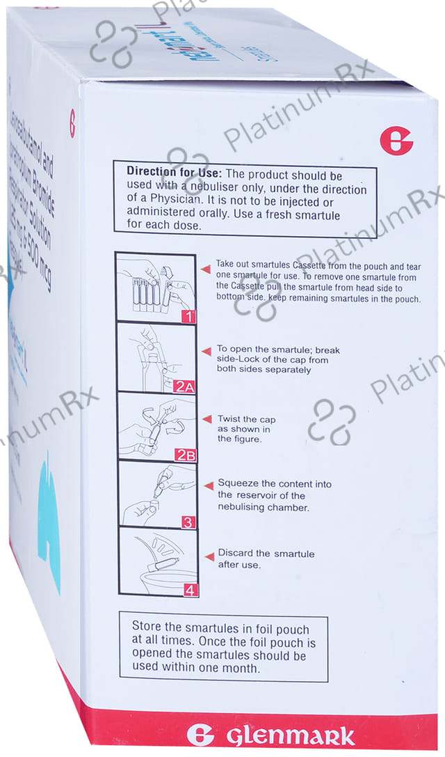 Nebzmart IL 1.25mg/500mcg Smartules Respules 8X2.5ml
