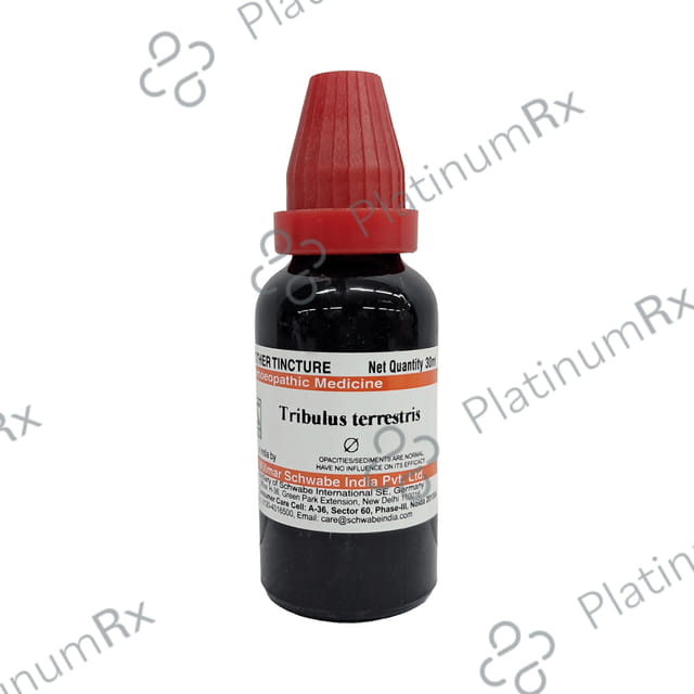 Dr Willmar Schwabe India Tribulus Terrestris Mother Tincture Q