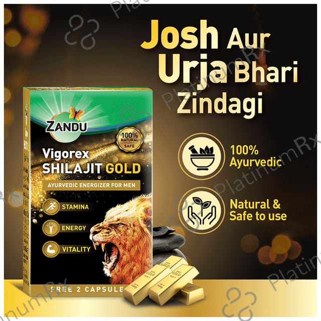 Zandu Vigorex Shilajit Gold Capsule